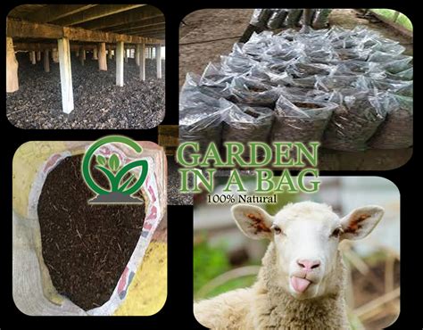 <b>Delivery</b> in 7 days. . Sheep manure perth delivered